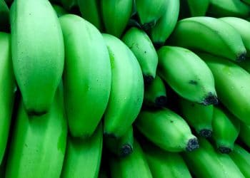 Bananele verzi, beneficii pentru sanatate