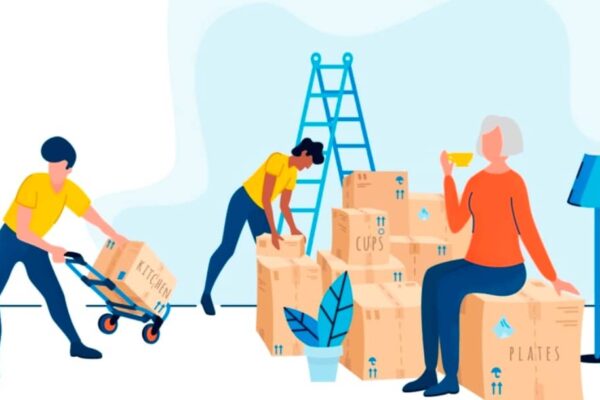 firma de transport mobila potrivita