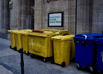 Beneficiile utilizarii pubelei de gunoi