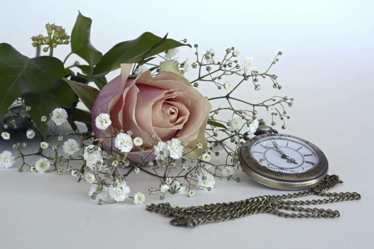 Florile in contextul ceremoniilor funerare. Coroane funerare sau aranjamente florare?
