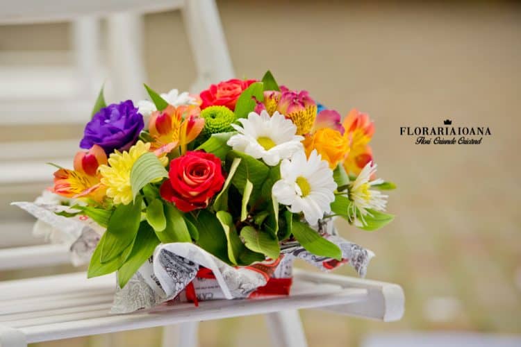 florarie cluj