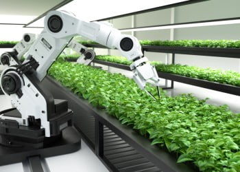 Utilizarea roboților în locurile de muncă
