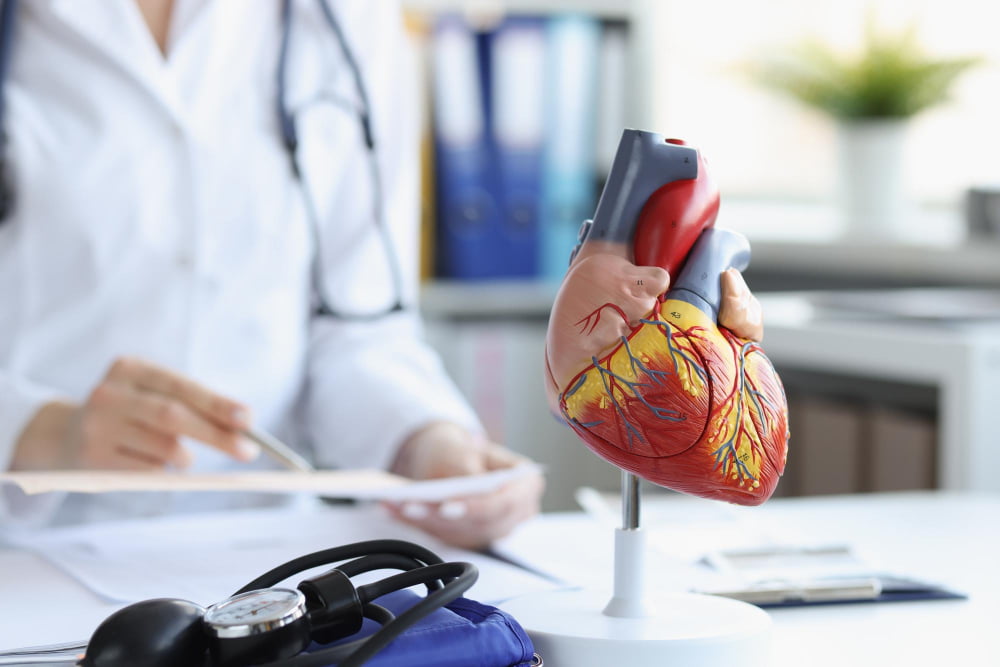sănătate cardiovasculară