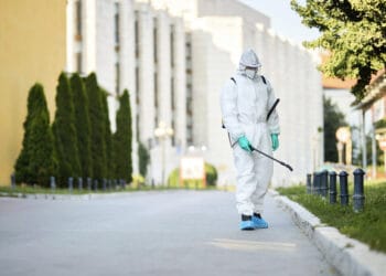 Deratizarea: Soluția profesională pentru combaterea rozătoarelor