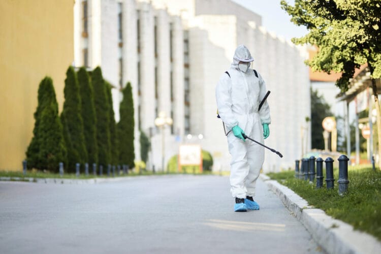Deratizarea: Soluția profesională pentru combaterea rozătoarelor