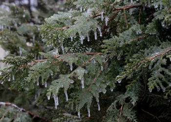 Prognoza meteo, 9 februarie. Valul de frig persistă în România