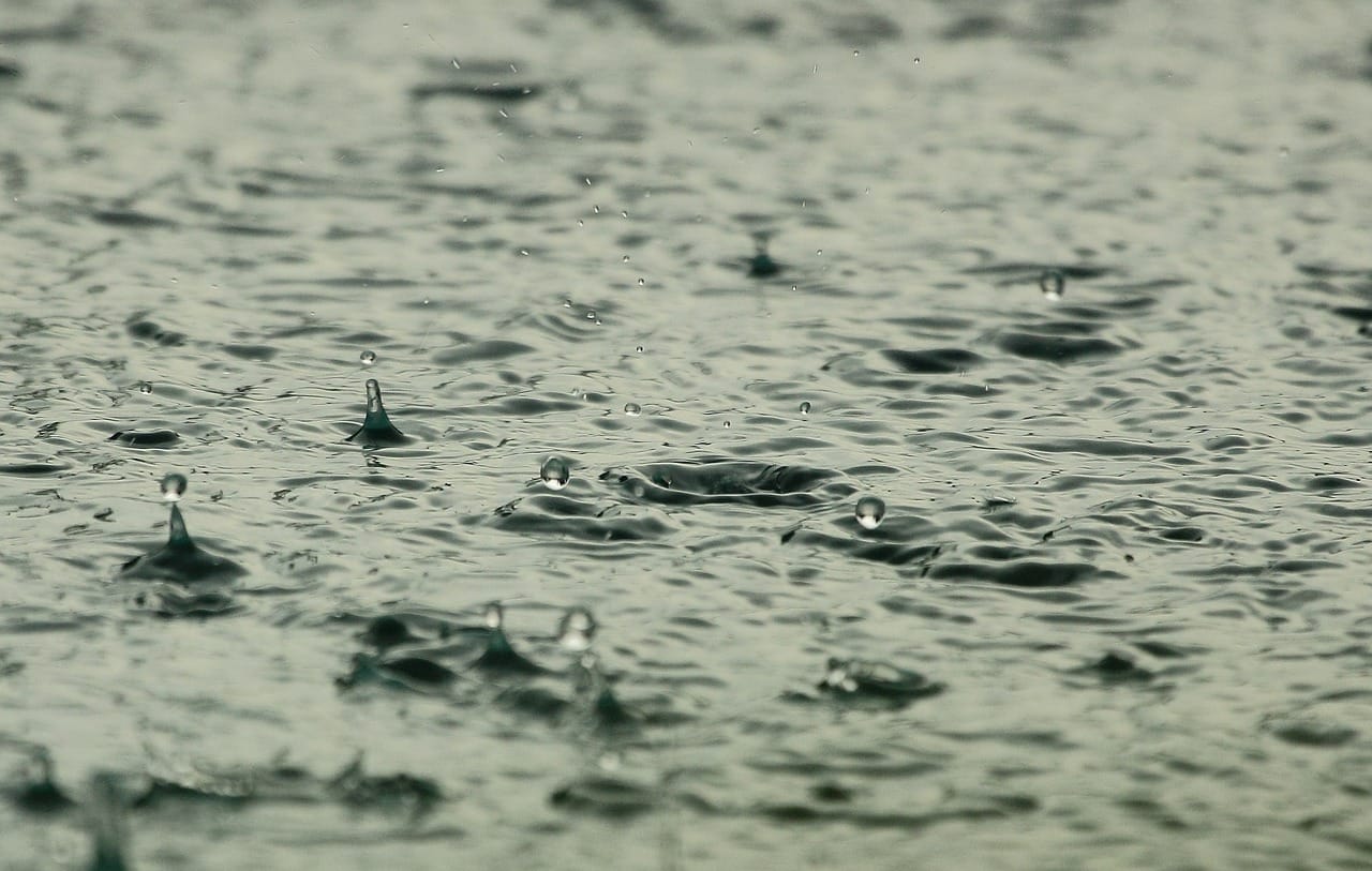 prognoza meteo