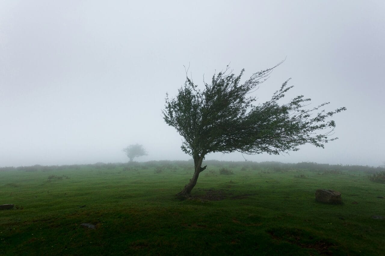 Prognoza meteo