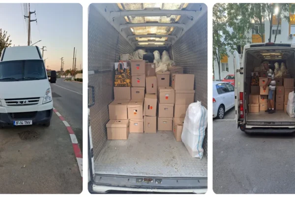 Mutari firme bucuresti - prin mutarisigure.ro - un serviciu de mutari recomandat din 2022
