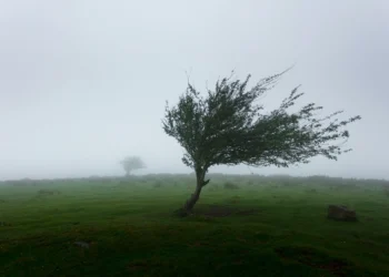 Ciclonul Byron mătură România. Alerte meteorologice emise de ANM