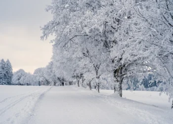 Prognoza meteo, 5 ianuarie. Vreme instabilă la început de săptămână. Ninsori, viscol și ceață în mai multe județe