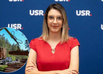 Aplicația SUMAL a fost actualizată pentru a opri furtul de lemn. Ministra Diana Buzoianu anunță ce obligații vor avea transportatorii