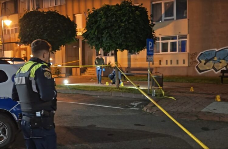 Detalii tulburătoare în cazul crimei din Neamț: Vlad a venit cu cuțitul de la București ca să își omoare tatăl