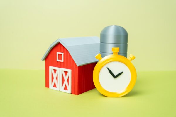 Idei de afaceri la țară: activități care merg în mediul rural